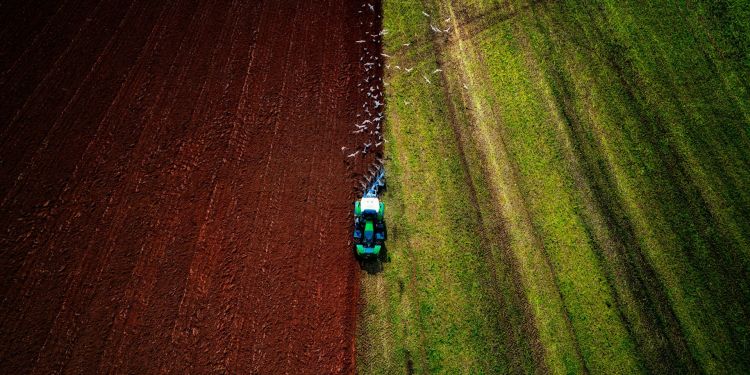 Co-creating sustainable futures with food farmers
