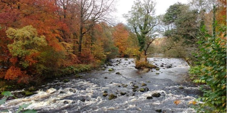 Major new water solutions programme to benefit the Yorkshire economy by £50 million