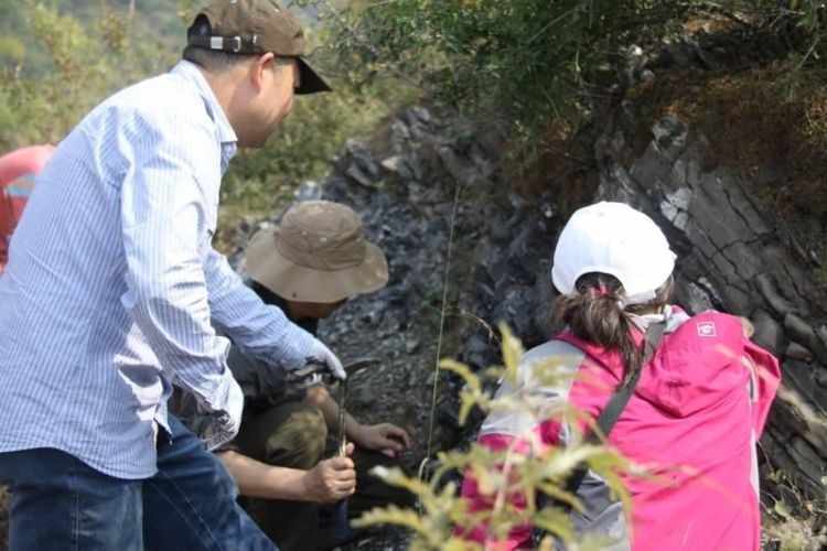 Environmental oxygenation during Earth's 'boring billion'