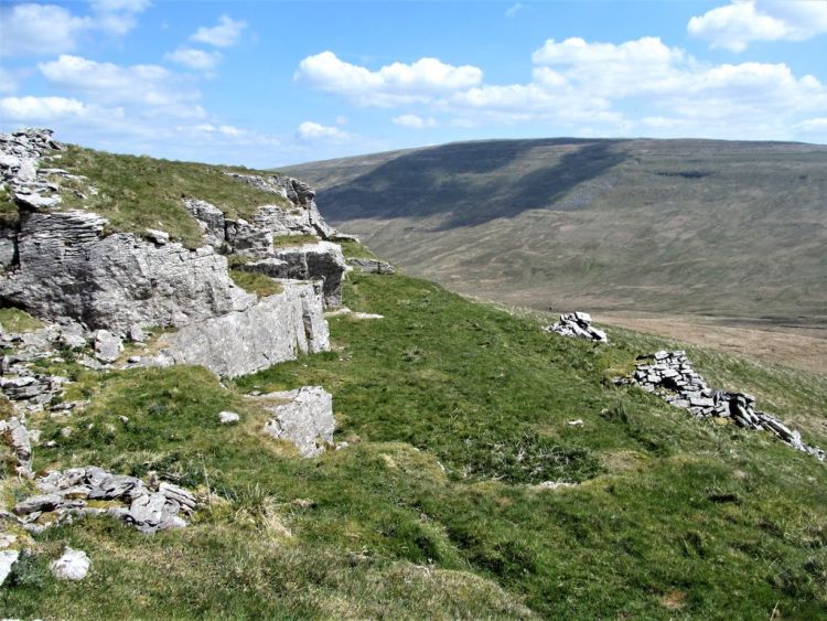 Replanting lost woodlands cuts the risk of extreme flooding