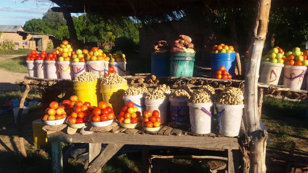 Community-led, nutrition-sensitive agriculture in Sub-Saharan Africa | School of Food Science and Nutrition | University of Leeds