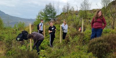 A group of students standing on the hill, planting and maintaining young trees