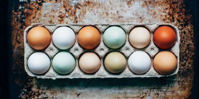 pic of a dozen eggs in a box