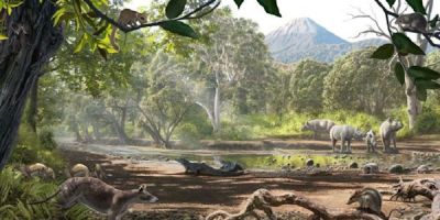 Marsupial creatures