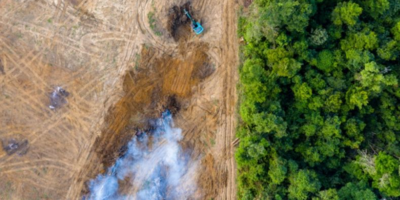 Aerial view of a patch of cleared rainforest is cultivated by a digger, with smoke from a fire rising into the sky