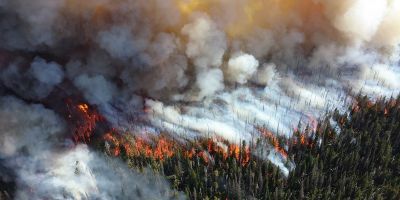 Forest Fires
