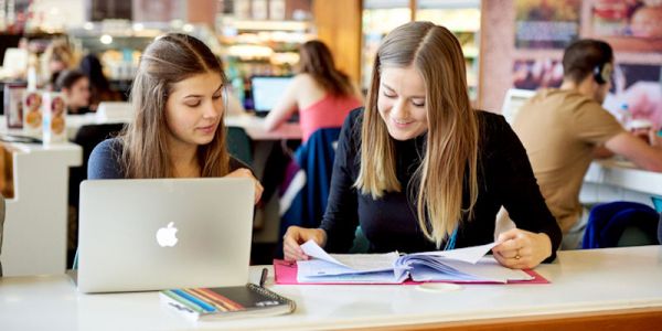Students reading