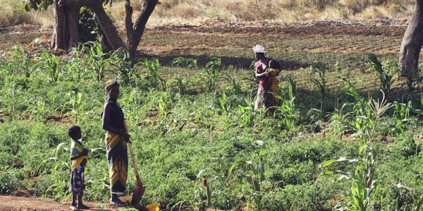 People on a farm in Africa