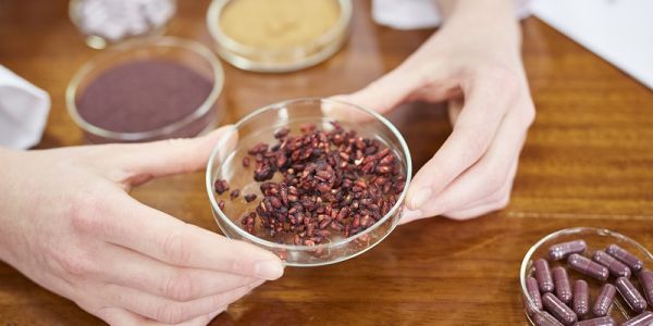 Food science and nutrition research at the University of Leeds