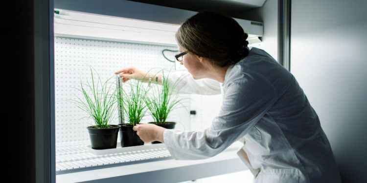 plant growth chamber