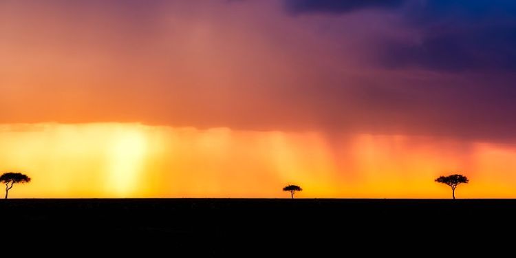 Rain in Kenya
