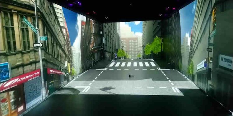 Pedestrian simulator
