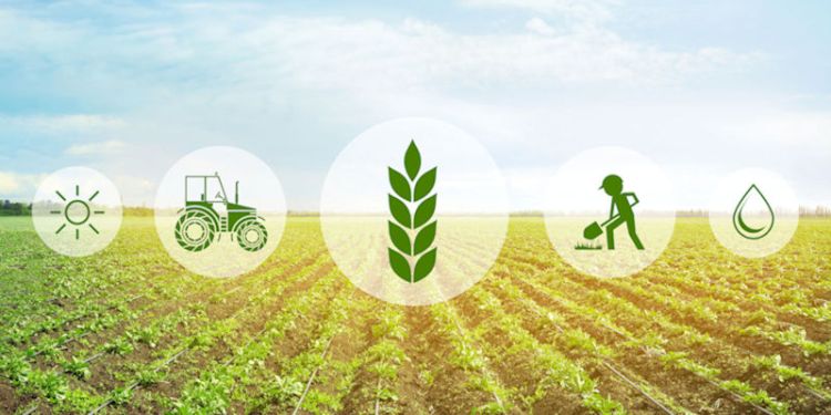Smart farm