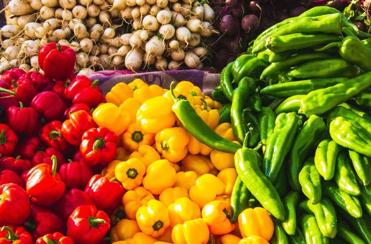 Nutritional Epidemiology Group designated as new WHO Collaborating Centre