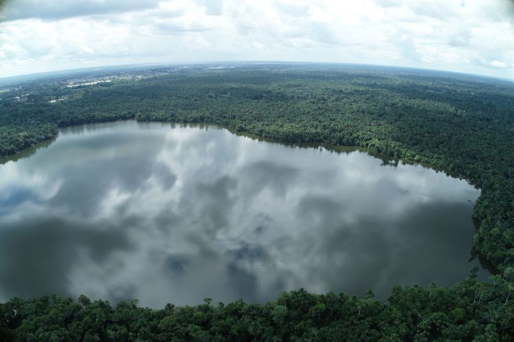 Drone technology helps to manage palm trees in the Peruvian Amazon