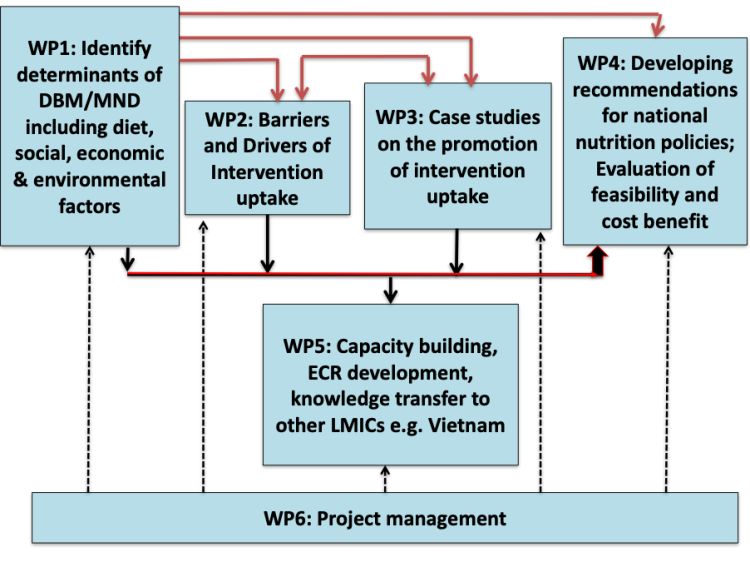 The work packages flow chart