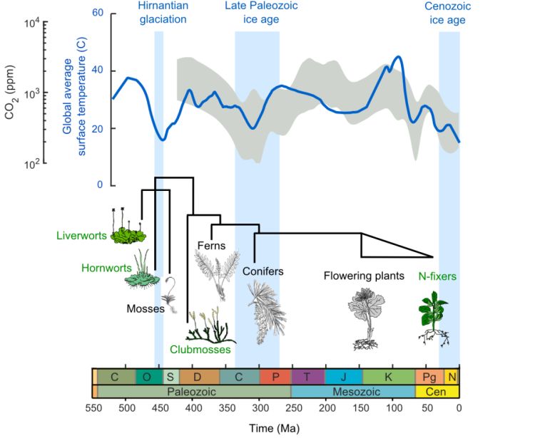Plantfun diagram